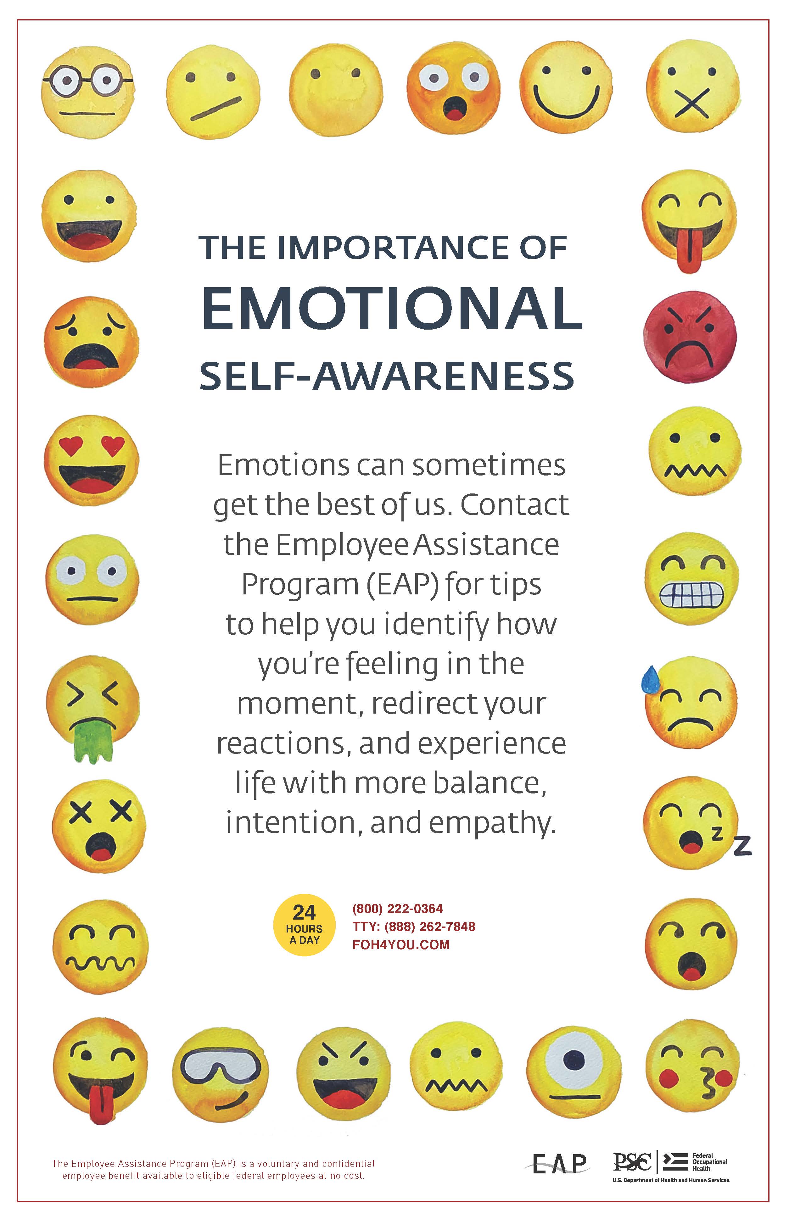 The Importance of Emotional Awareness - Poster