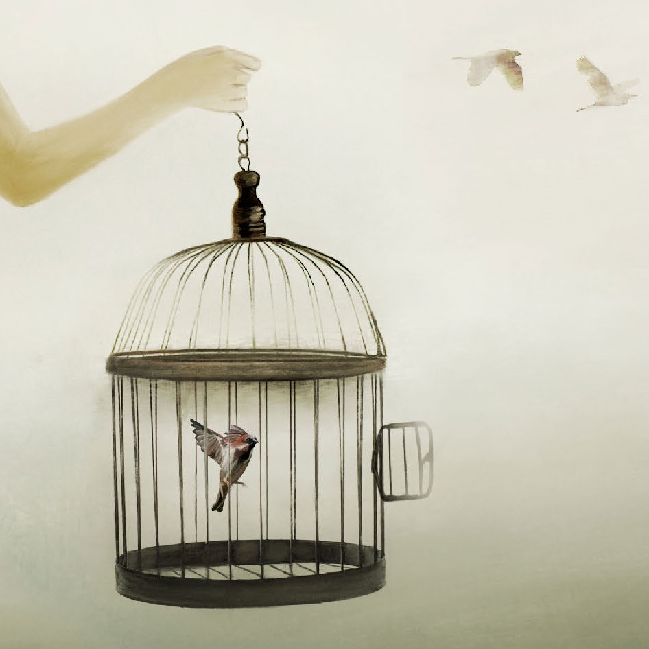Open birdcage with one bird inside and two birds outside flying free