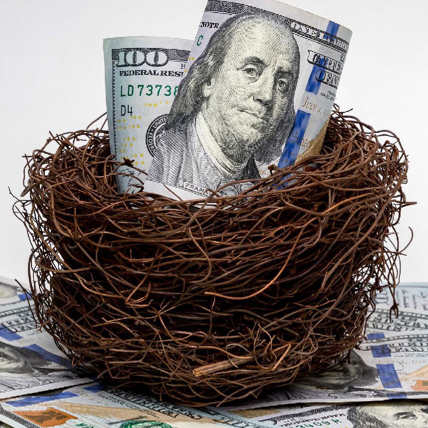 $100 bills in a bird's nest